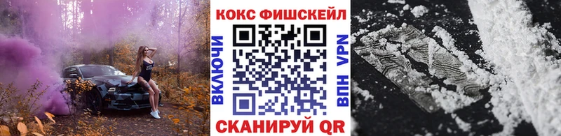 Cocaine FishScale  Купить закладки  Моршанск 