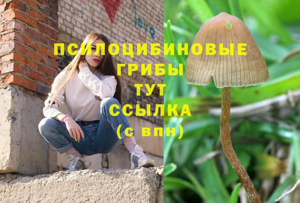 синтетический гашиш Балахна